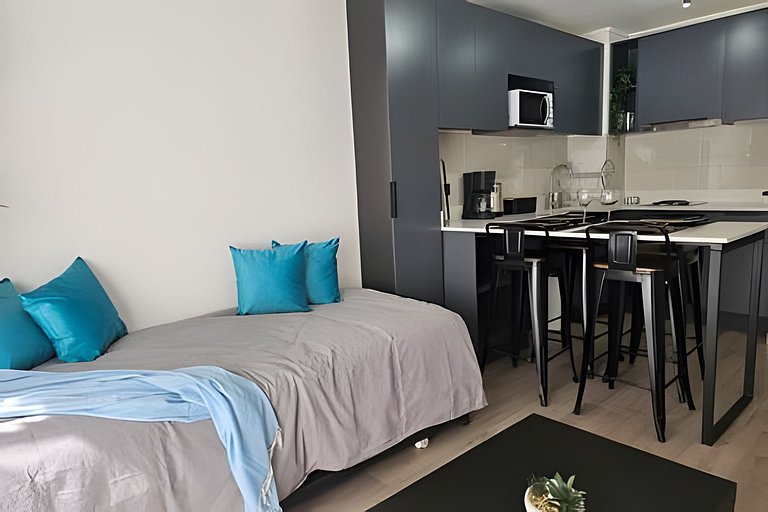 Apartment in downtown Santiago with pool and laundry Rosas