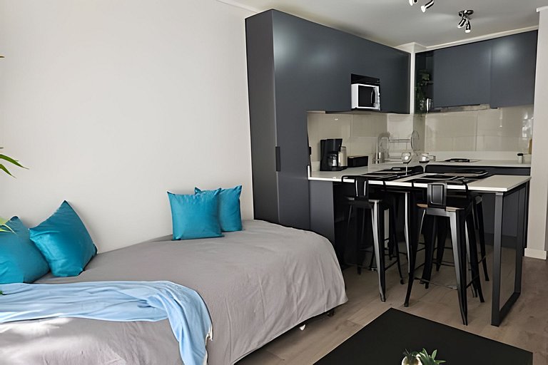 Apartment in downtown Santiago with pool and laundry Rosas