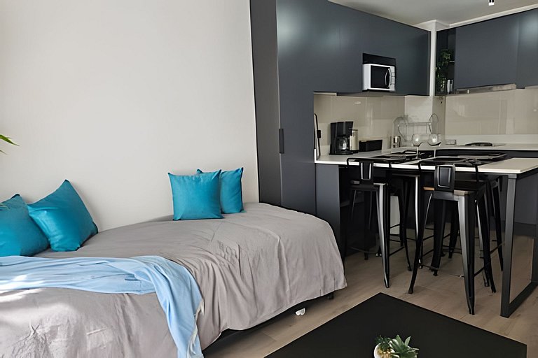 Apartment in downtown Santiago with pool and laundry Rosas